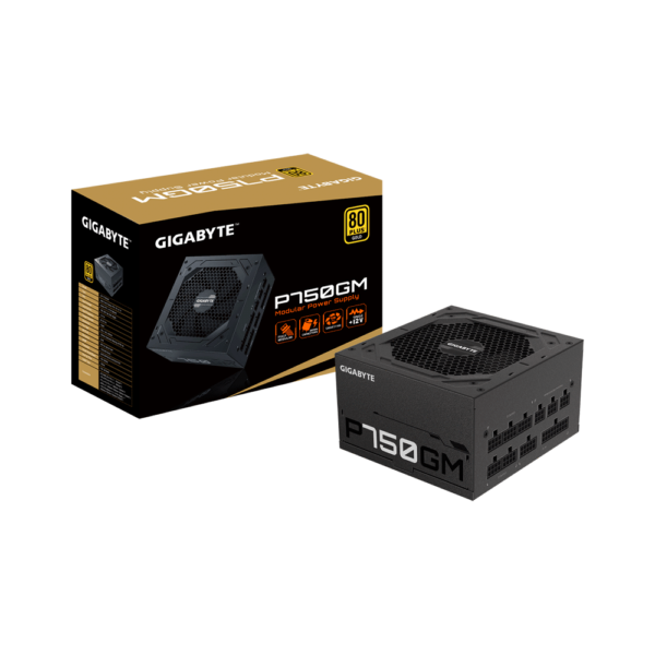 FUENTE GIGABYTE 750W GP-P750GM 80 PLUS GOLD FULL MODULAR