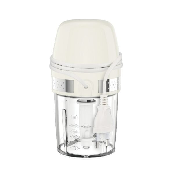 PICADORA MINI CHOPPER SOLEIL MOULINEX DJ360A10
