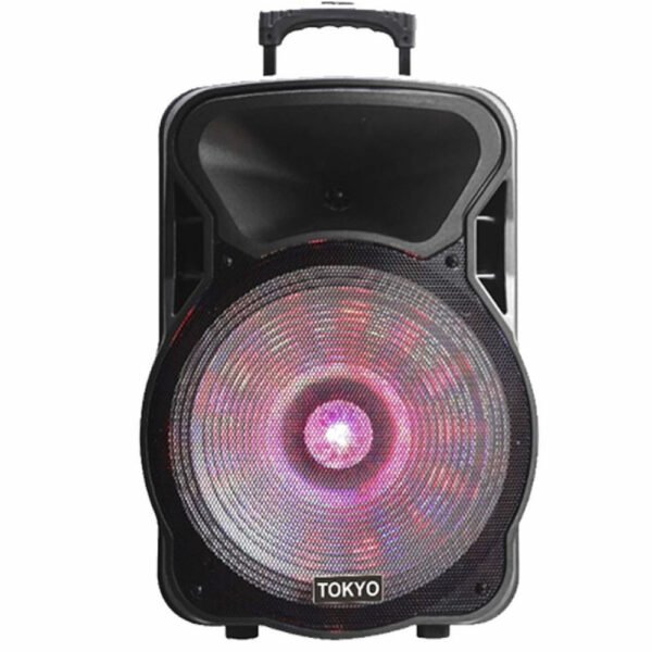 PARLANTE TOKYO PARTY 12 BATERIA 4400mAh BLUETOOH FM/USB 2 MICROF.