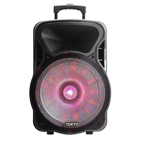 PARLANTE TOKYO PARTY 15 BATERIA 6600mAh BLUETOOH FM/USB 2 MICROFONOS
