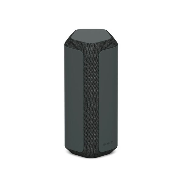 Parlante inalambrico sony srs-xe300 black